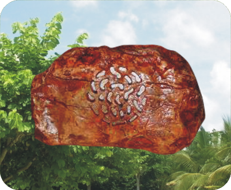 高品質(zhì)玻璃鋼草坪音箱 OBT-1804X